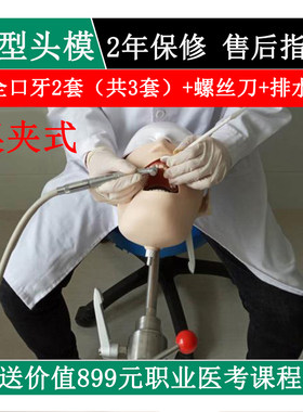 牙科材料口腔练习模型