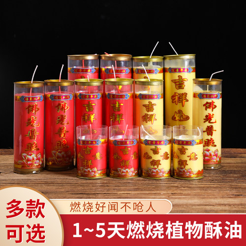24小时供佛无烟酥油灯植物酥油