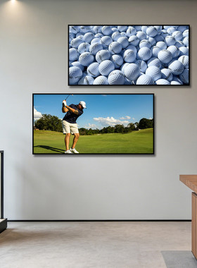 高尔夫球会所装饰画GOLF
