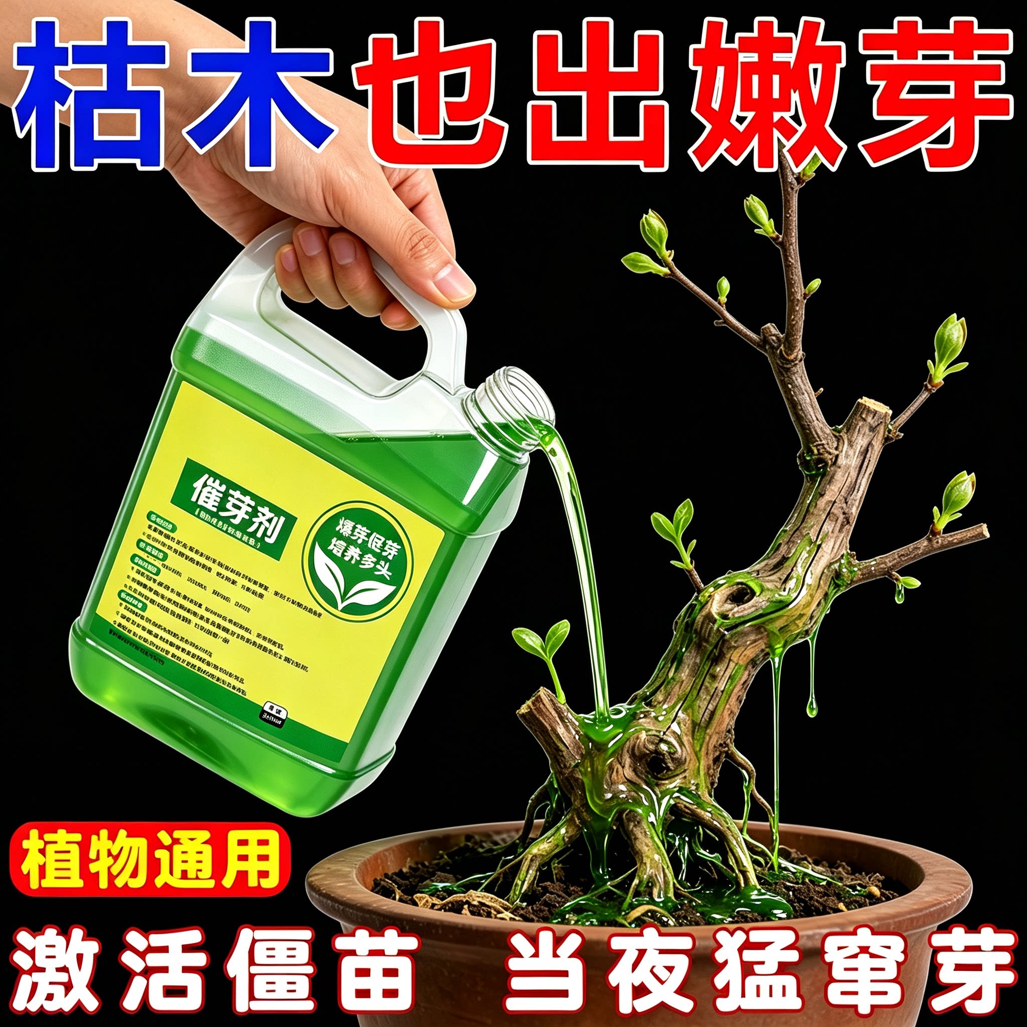 老桩催芽剂【解决植物不冒芽】
