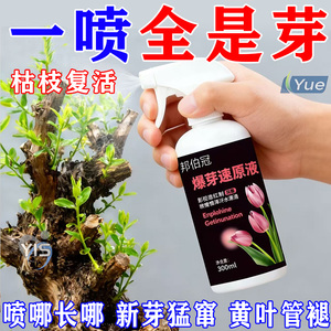 快速催芽【爆芽速原液】激活僵芽