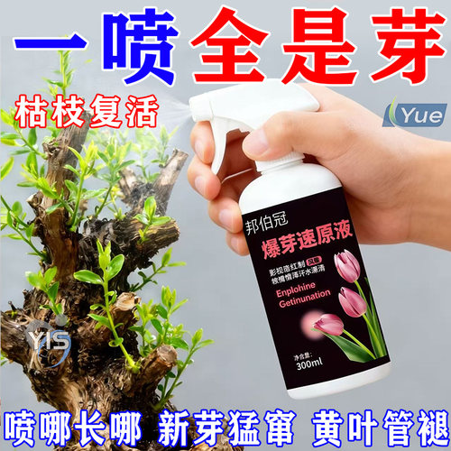 快速催芽【爆芽速原液】激活僵芽