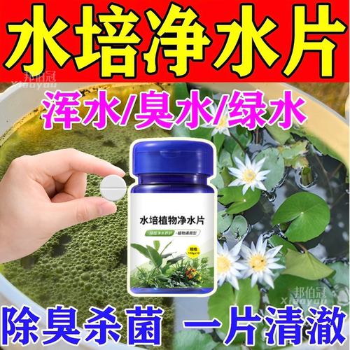 水培植物净水片除臭杀菌消毒富贵竹碗睡莲专用净化水质鲜花保鲜片