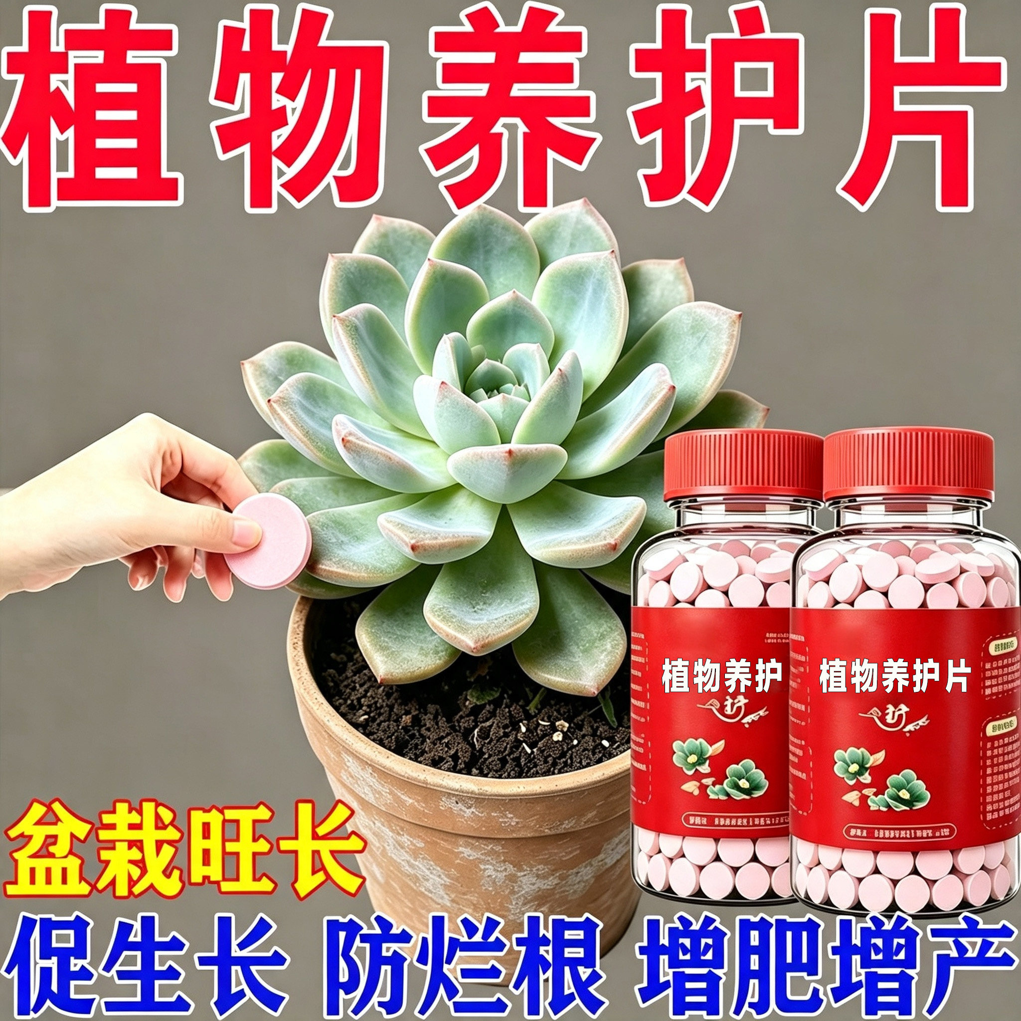 家庭花卉绿植通用有机缓释养护片
