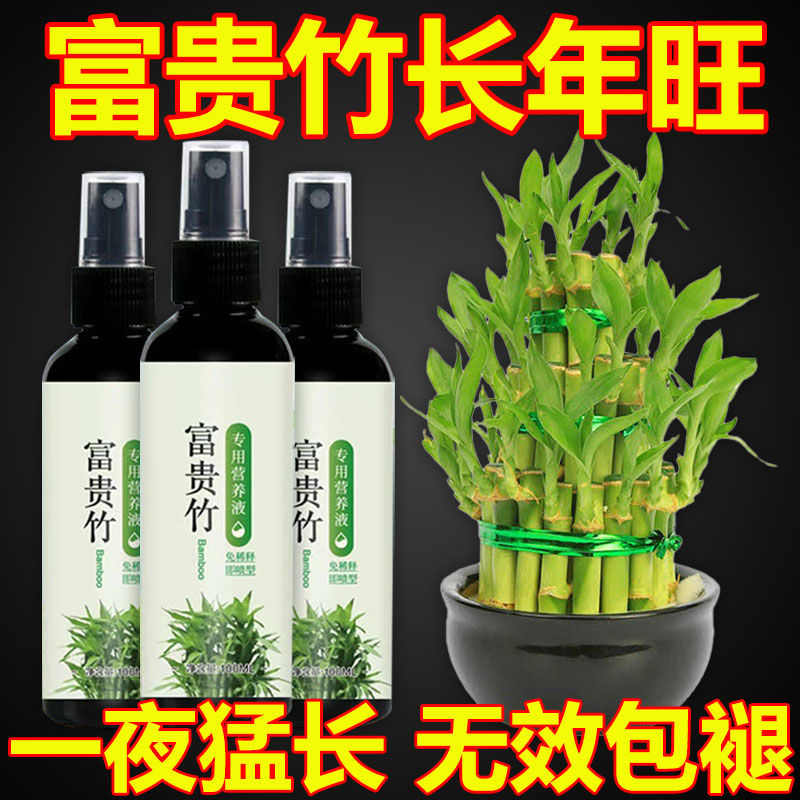 富贵竹专用营养液水培植物肥料转运观音竹子家用专治黄叶养花通用