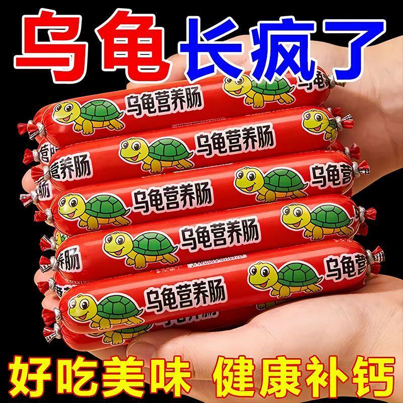 乌龟抢着吃进口乌龟肠增强食欲