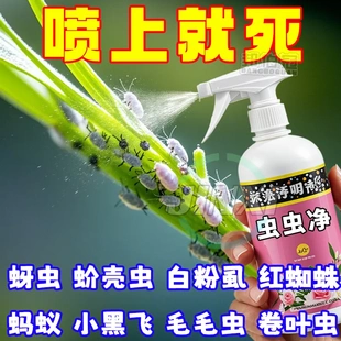 虫虫净植物花卉杀虫剂室内盆栽通用活性剂养花除虫蚜虫小黑飞喷雾