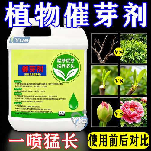 一喷猛窜芽全年绿【植物催芽剂】
