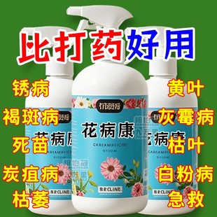 花病康植物花卉通用型花病康免稀释直喷型家庭园艺盆栽抗菌活性剂