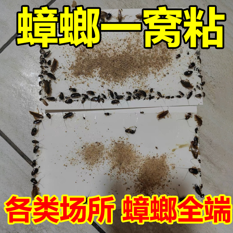 蟑螂一窝端蟑螂贴蟑螂纸捕鼠粘苍蝇果蝇贴蚂蚁帖家用杀虫剂蚊虫贴
