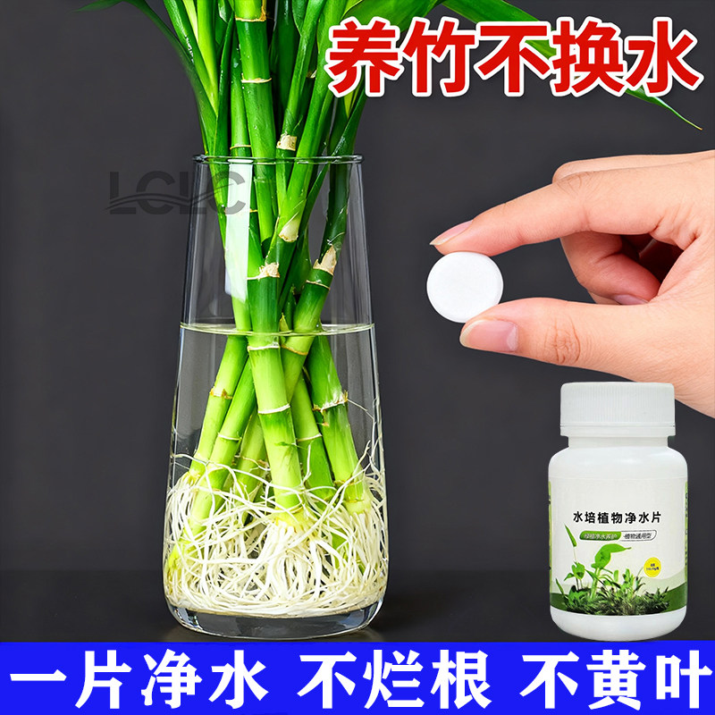 水培植物增氧片净水片营养片防臭水促生根浑水水培花卉通用免换水