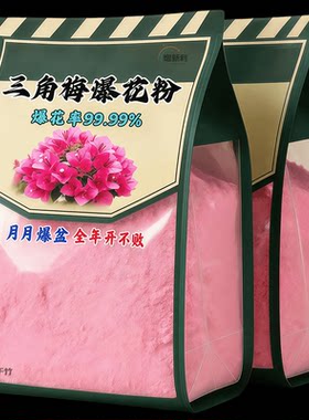 改善黄叶【三角梅都在用】猛开花