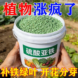 硫酸亚铁肥栀子花茉莉花富贵竹预防黄叶促生根通用型养花水溶肥料