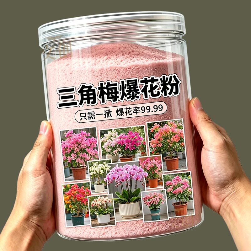 三角梅快速开花强效通用爆花粉