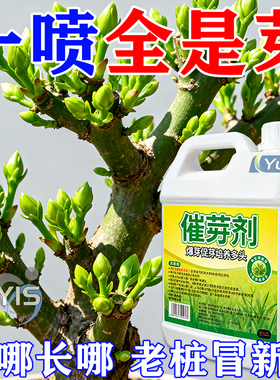老桩催芽剂花卉营养液促芽僵苗快速发新芽防黄叶生根催芽绿植通用