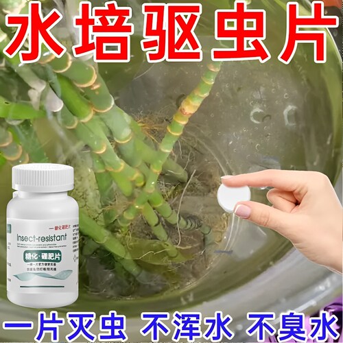 碗莲驱虫片防害虫不伤植物防烂梗