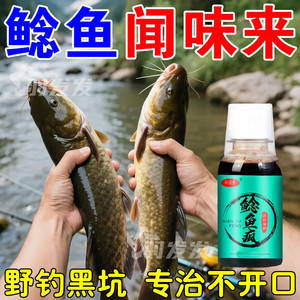 鲶鱼疯钓鱼小药饵料野钓胡子鲶大口鲶塘鲺饲料打窝料诱食剂钓饵