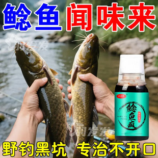 鲶鱼疯钓鱼小药饵料野钓胡子鲶大口鲶塘鲺饲料打窝料诱食剂钓饵