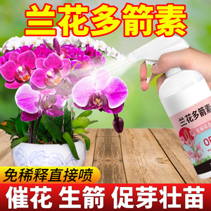 兰花多箭素爆芽素专用营养液蝴蝶兰多剑王兰灵王营养液肥料旗舰店