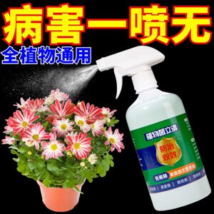 家庭园艺植物菌立清盆栽营养液