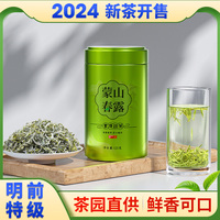 四川蒙顶甘露特产茶叶2024新茶雅安高山炒青绿茶浓香口粮茶自己喝