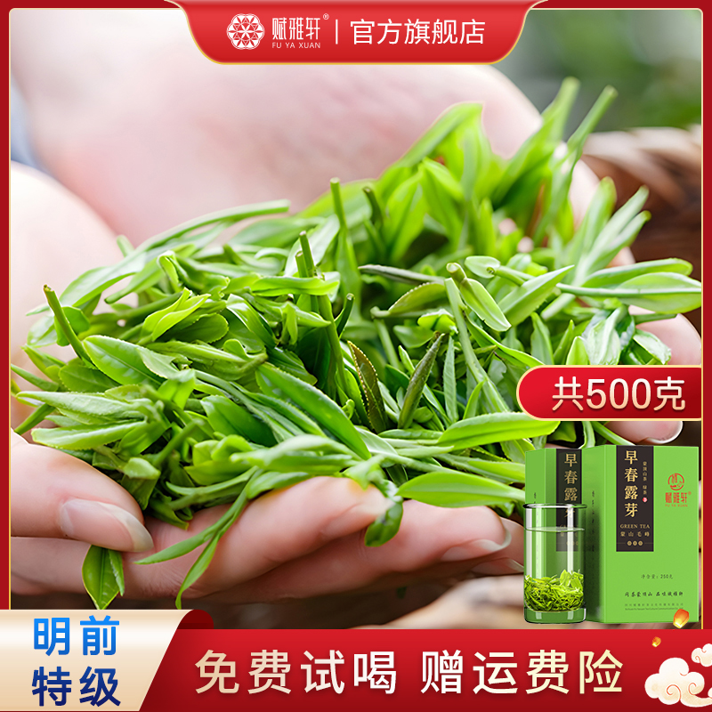 茶叶2023新茶特级绿茶早春露芽明前云雾毛峰赋雅轩茶蒙顶山茶