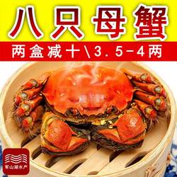 南昌军山湖大闸蟹8只3.5-4两全母大闸蟹螃蟹礼盒装鲜活螃蟹顺丰