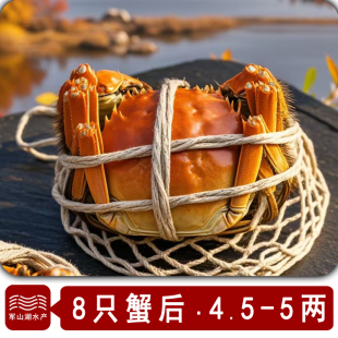 南昌军山湖大闸蟹8只全母4.5-5两大闸蟹螃蟹礼盒装鲜活螃蟹顺丰