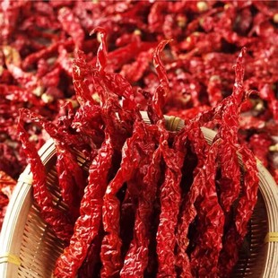 线椒 干线椒 干红辣椒微辣特香辣椒 红油油泼辣子粉辣子面干红椒