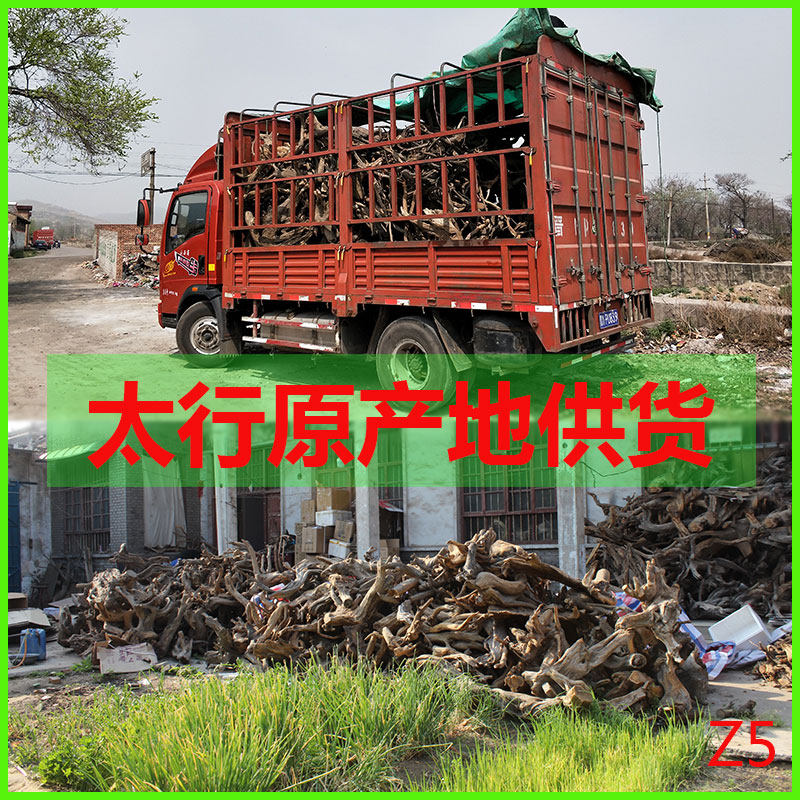 太行崖柏木料崖柏原木陈华毛料摆件精品树根木雕老留瘤疤老料清仓
