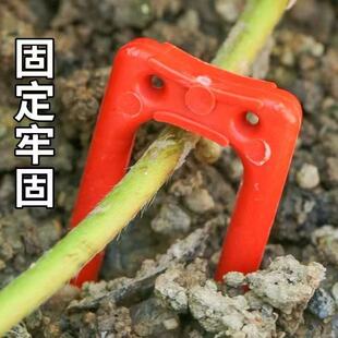 西瓜压蔓器草莓压苗叉育苗叉压苗叉大棚固定器藤蔓生根种植