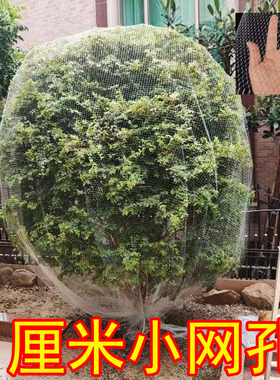 葡萄果园防鸟网防雹网果树樱桃蓝莓防鸟用网尼龙1厘米网孔小网眼