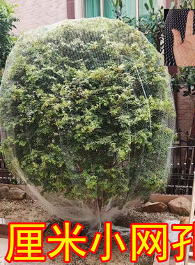 葡萄果园防鸟网防雹网
