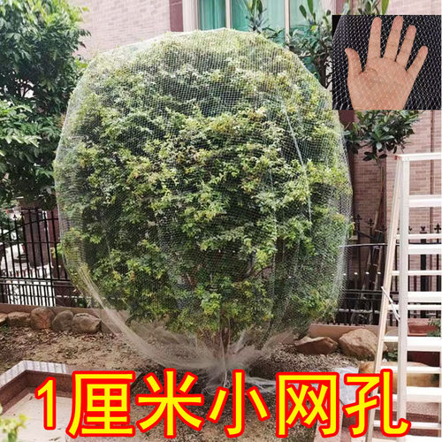 葡萄果园防鸟网防雹网