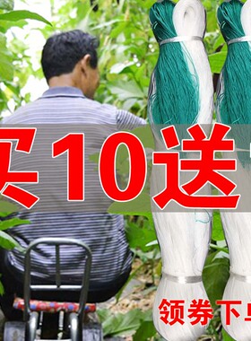 豆角黄瓜丝瓜苦瓜吊瓜网百香果专用爬藤植物种植网农用攀爬