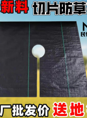 防草布果园果树遮盖草布农用透气保湿除草布地膜园艺大棚切片地钉