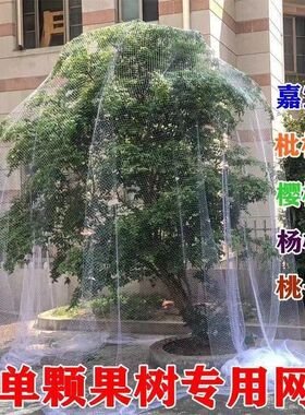 果树防鸟网 樱桃树枇杷树嘉宝树防鸟罩尼龙网葡萄园挡鸟拦鸟网子