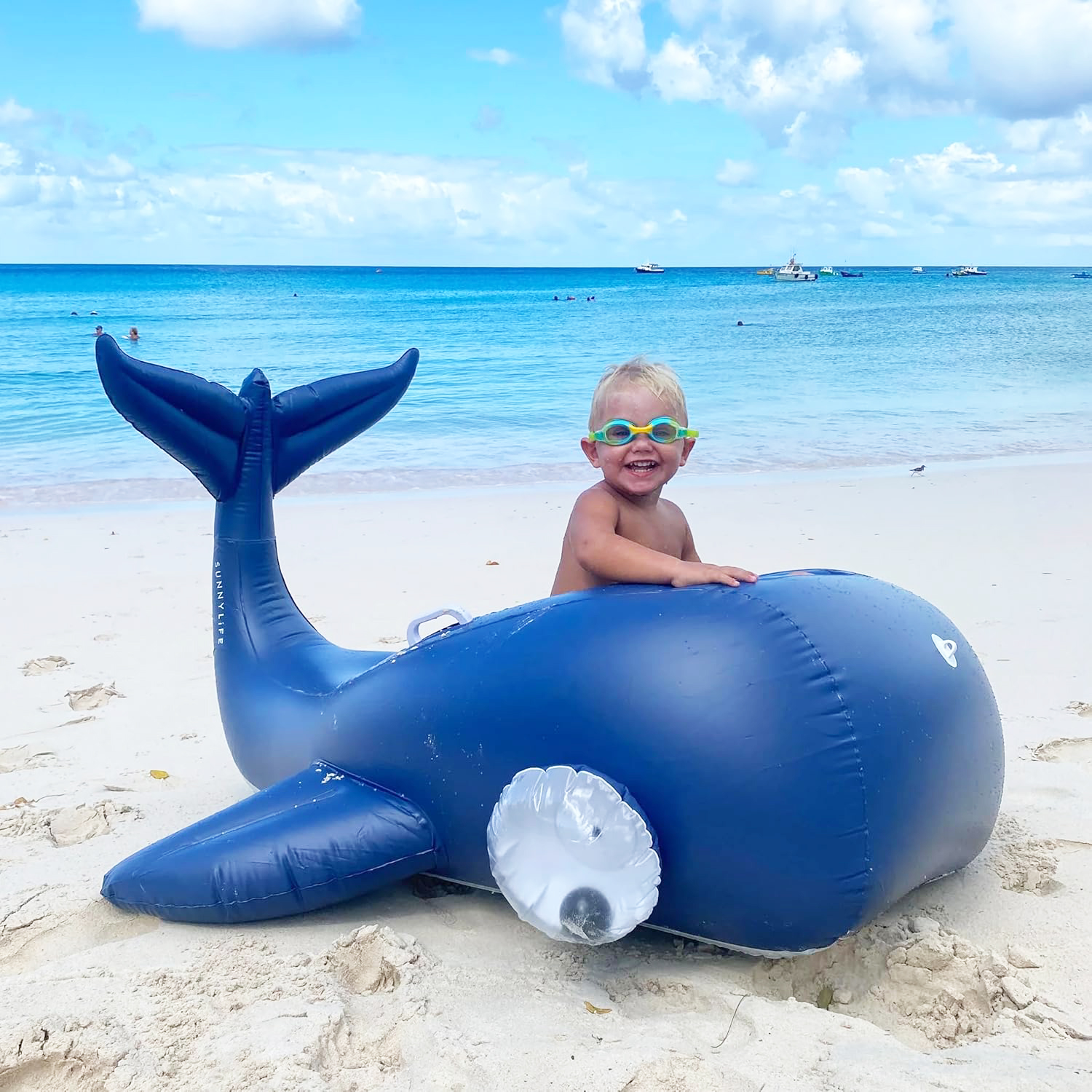 SUNNYLIFE正品鯨魚安全充氣坐騎