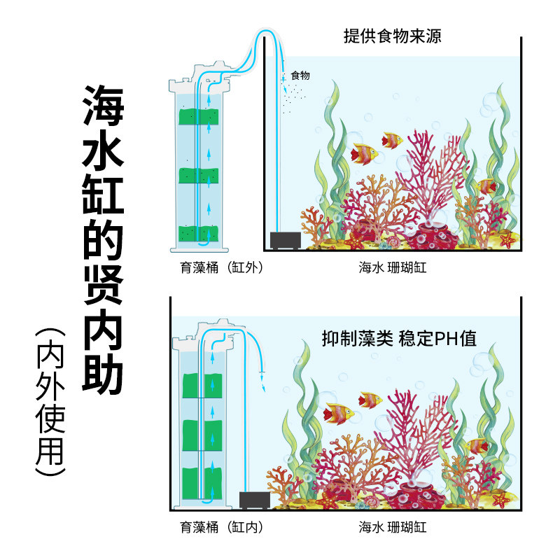 玩家宝贝海水缸除P03NO4鳞酸盐外置LED培藻过滤高等藻类培育桶