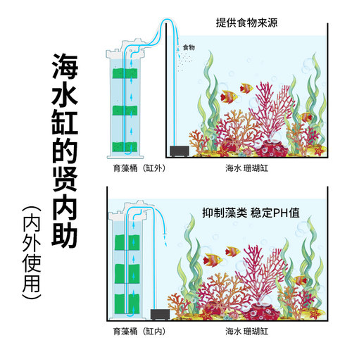 玩家宝贝海水缸除P03NO4鳞酸盐外置LED培藻过滤高等藻类培育桶
