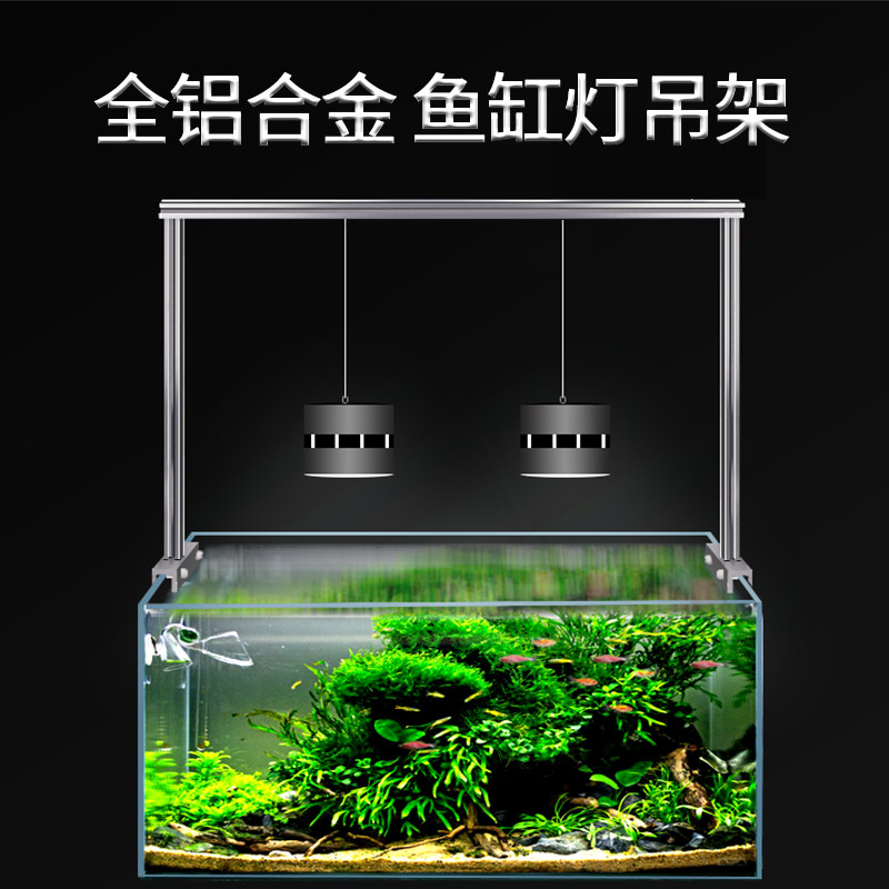 海水鱼吊素材模板 海水鱼吊图片下载 小麦优选 海水鱼吊素材模板 海水鱼吊图片下载 小麦优选