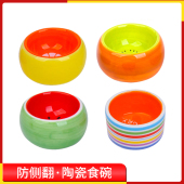 小宠陶瓷食碗鸟类蜜袋鼯仓鼠刺猬爬虫防溅喂食器鹦鹉饮水食盒用品