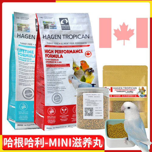 哈根哈利mini鹦鹉滋养丸饲料