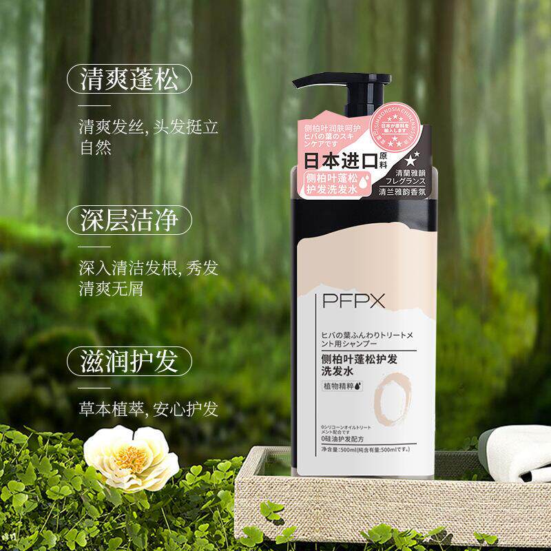 侧柏叶蓬松洗发水沐浴露套装清爽去油清洁头发洁净肌肤家用洗护