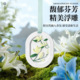 晨露水仙衣柜香薰蜡片室内家用清新香氛熏香除味衣橱香挂石膏香片