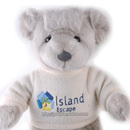 独特浅灰泰迪熊毛绒布艺类玩具公仔玩偶 正版 CEXO Teddy bear时尚