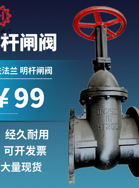 Z41T-10/16明杆法兰闸阀铸铁管道水闸阀开关DN406580 100 150 200
