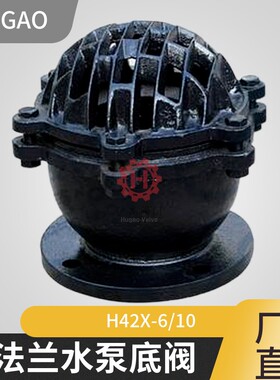 H42X-10抽水泵底阀止回阀铸铁升降式止回阀吸水底阀法兰 dn100150