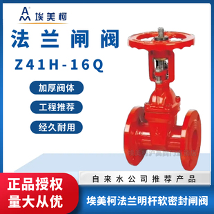 埃美柯弹性座闸阀Z41X 65100 16Q铸铁法兰明杆座封软密封闸阀DN50