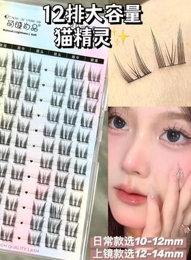 DIY Individual Lashes Anime Eyelashes Natural Lash Clusters